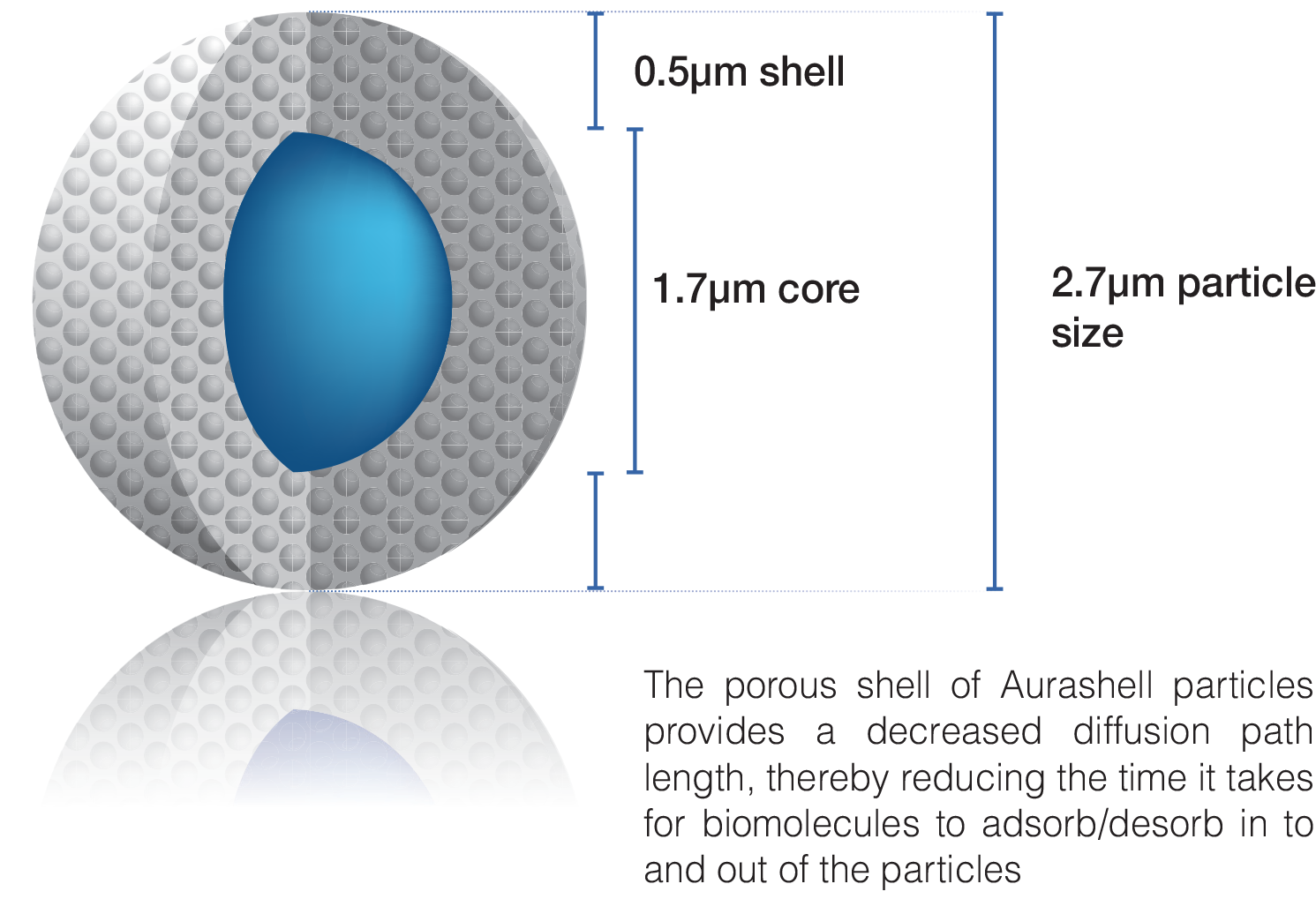 AURASHELL PEPC18